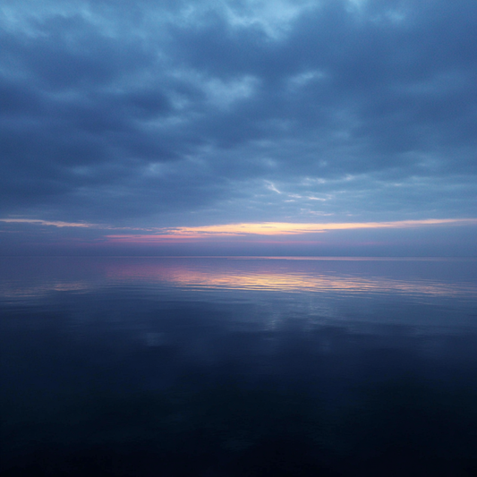 The Calm