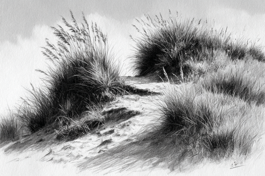The Dunes