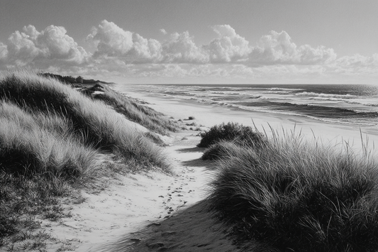Solitude