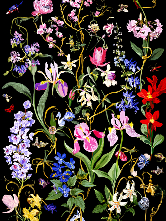 Wild Harmony